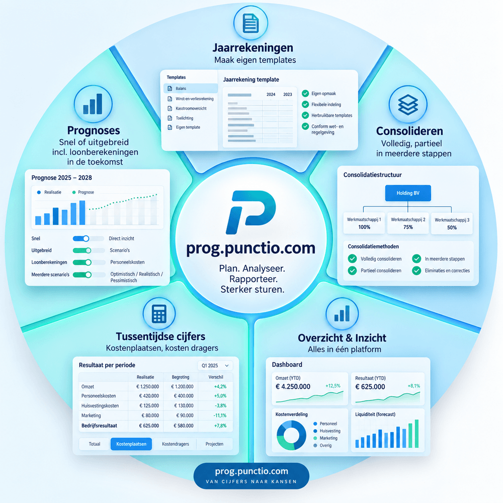 Overzicht van prog.punctio.com: jaarrekeningen, consolideren, overzicht en inzicht, tussentijdse cijfers en prognoses